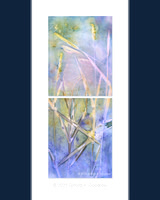 Original - Wild Grass