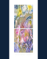 001_Wet Cyanotype w/ Watercolor on Mineral Paper_A_Colors