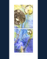 Original - Lily Pads