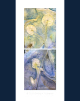 Original - Lily Pads