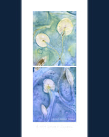 Washed - Lily Pads