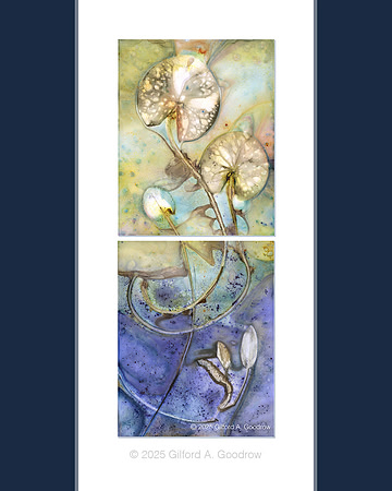 Original - Lily Pads