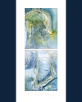003_Wet Cyanotype w/ Watercolor  on Mineral Paper_C_Abstracts
