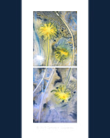 Original - Juncus Grass