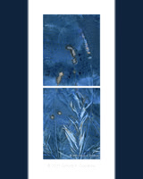 Original - Wild Grass