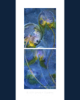 Wet Cyanotype w/ Watercolor Conventional Paper