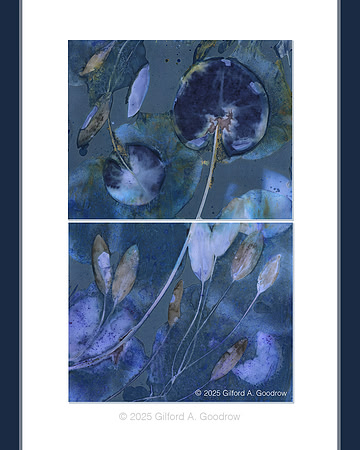 Original - Lily Pads