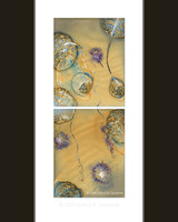 Original - Juncus Grass